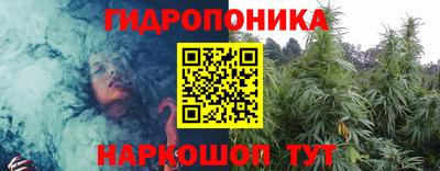 шишки Жуковский