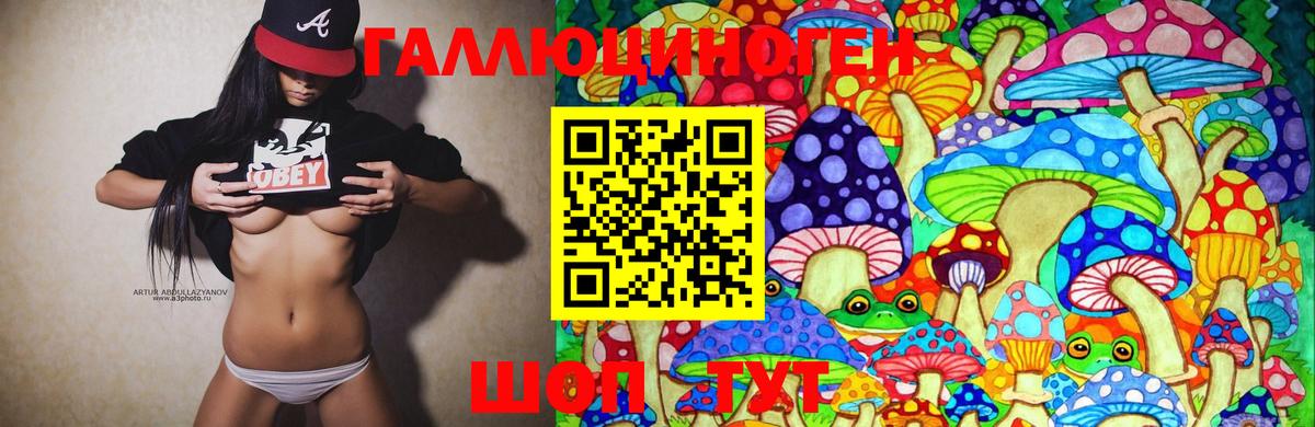 Псилоцибиновые грибы ЛСД Михайловка