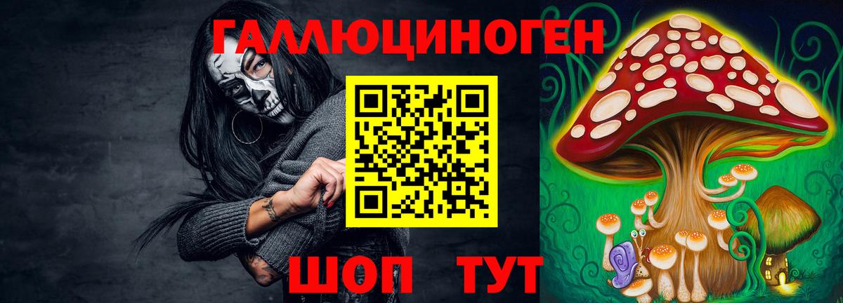 Псилоцибиновые грибы Psilocybine cubensis  Вход с VPN  Михайловка 